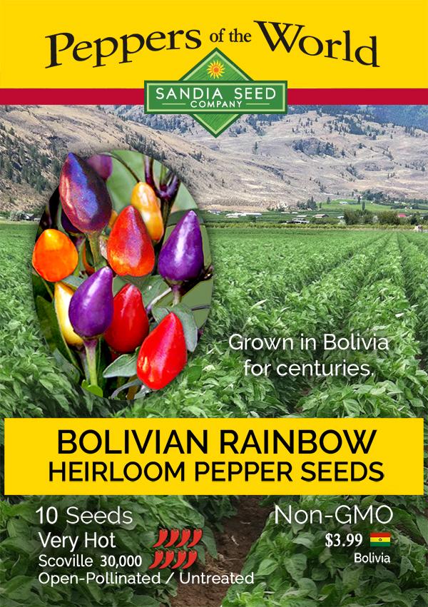 Bolivian Rainbow Pepper Seeds - Lucifer&