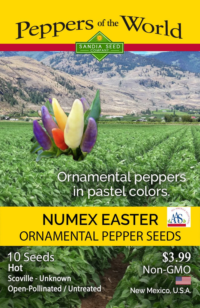 NuMex Easter Ornamental Pepper Seeds - Lucifer&