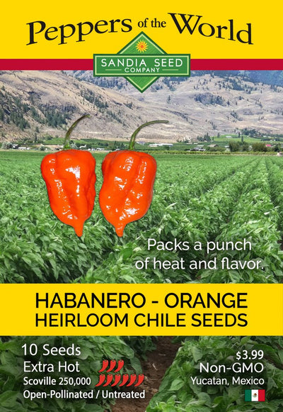 Habanero Orange Seeds - Lucifer's House of Heat