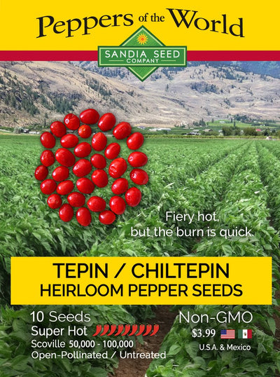 Chiltepin / Tepin Chile Seeds - Lucifer's House of Heat