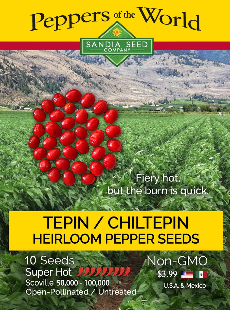 Chiltepin / Tepin Chile Seeds - Lucifer&