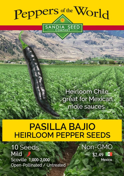 Pasilla Bajio / Chilaca Chile Seeds - Lucifer's House of Heat