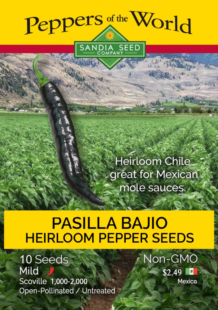 Pasilla Bajio / Chilaca Chile Seeds - Lucifer&