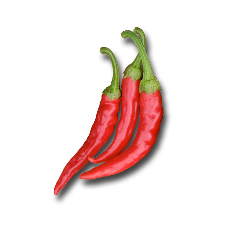 Thai Hot Pepper Seeds - Lucifer&